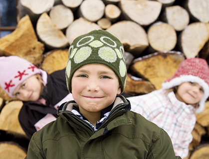 Древесное топливо – возобновляемая альтернативная энергия