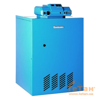 Напольный газовый чугунный атмосферный котел Buderus Logano G124 WS